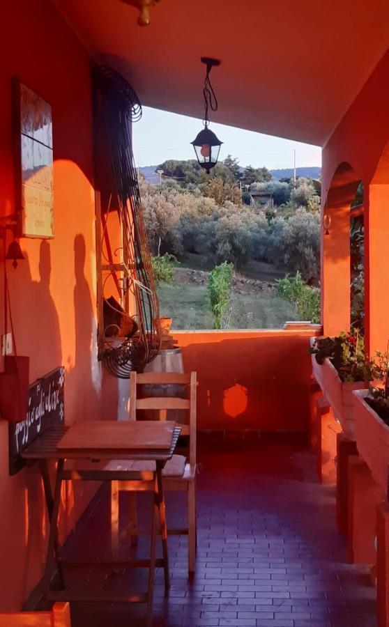 Poggio Agli Ulivi Villa Frascati Luaran gambar