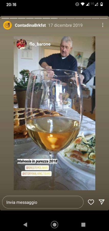 Poggio Agli Ulivi Villa Frascati Luaran gambar