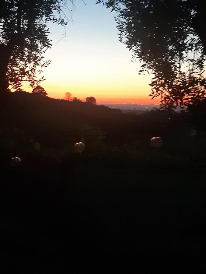 Poggio Agli Ulivi Villa Frascati Luaran gambar