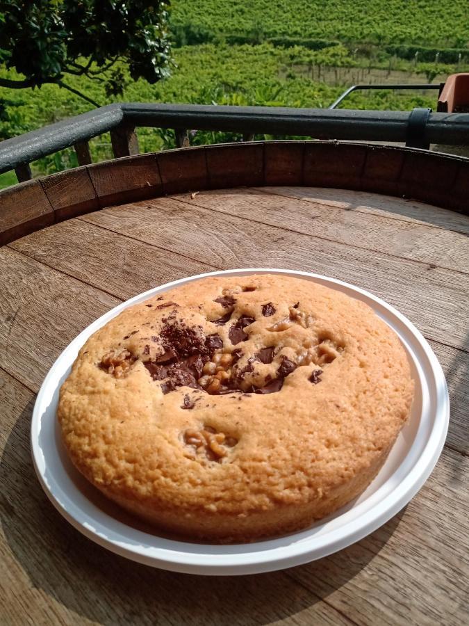 Poggio Agli Ulivi Villa Frascati Luaran gambar