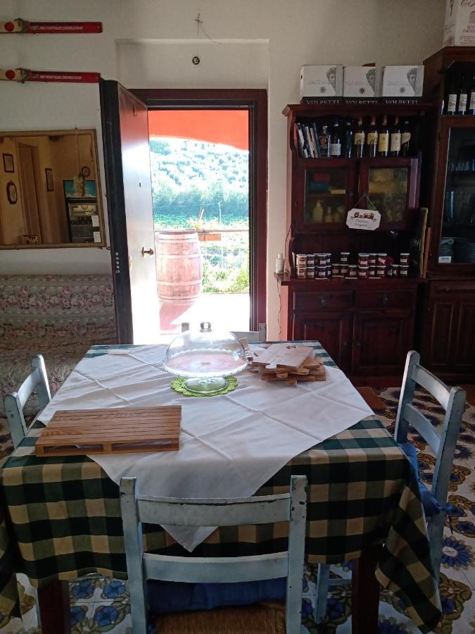 Poggio Agli Ulivi Villa Frascati Luaran gambar