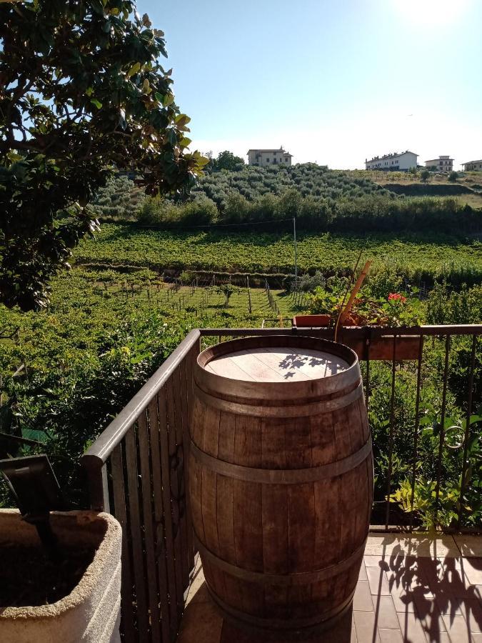 Poggio Agli Ulivi Villa Frascati Luaran gambar
