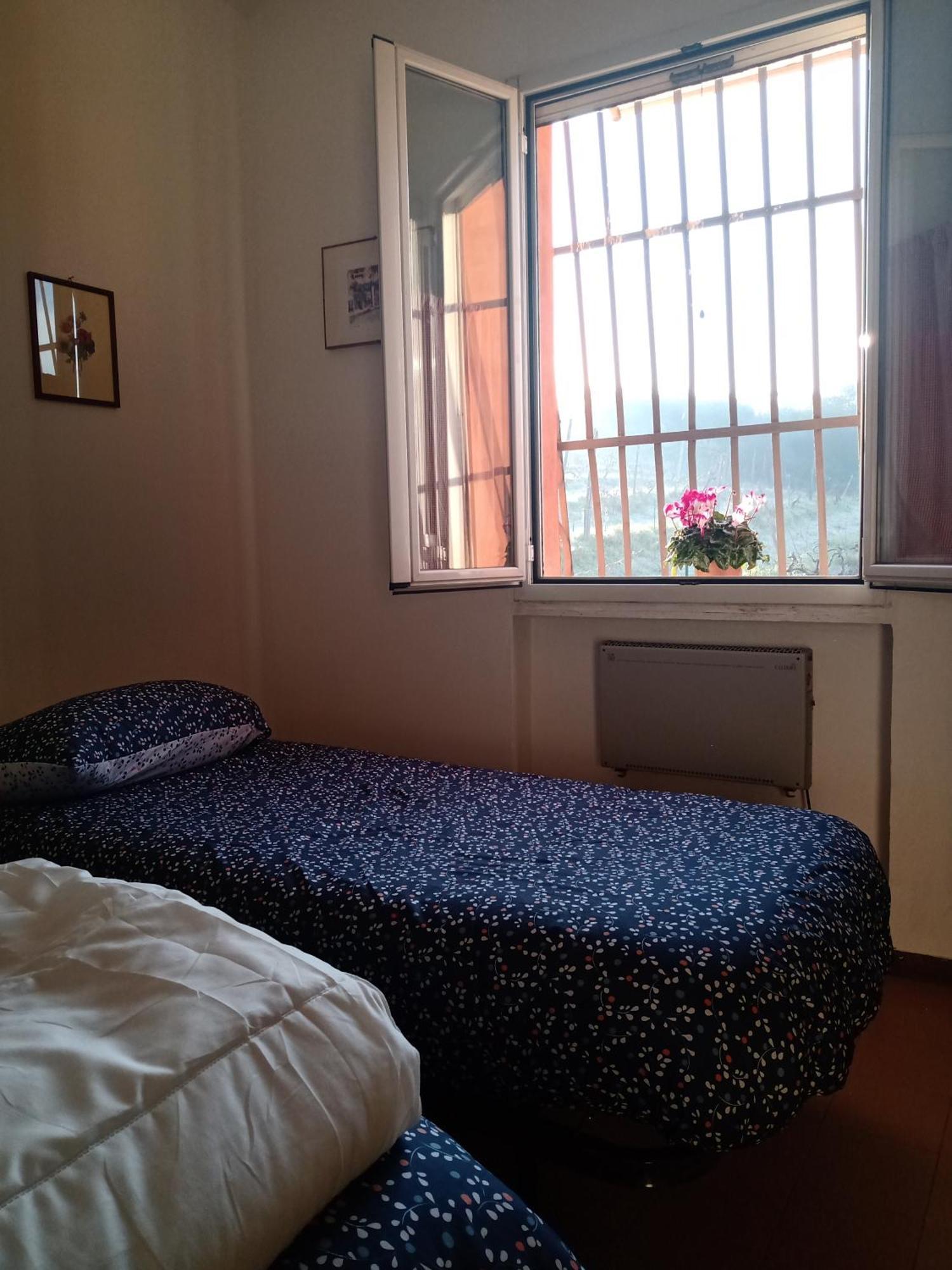 Poggio Agli Ulivi Villa Frascati Luaran gambar