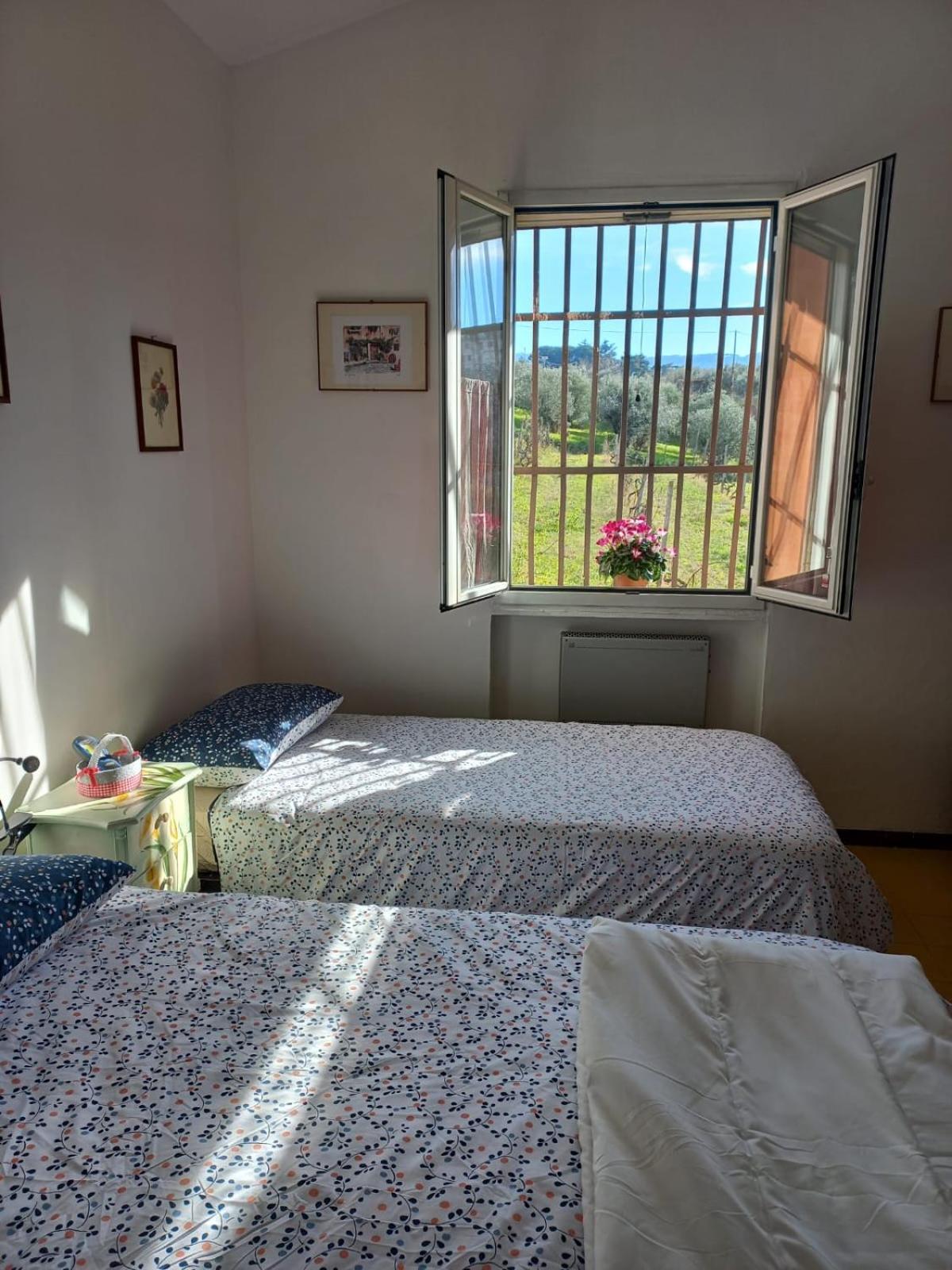 Poggio Agli Ulivi Villa Frascati Bilik gambar