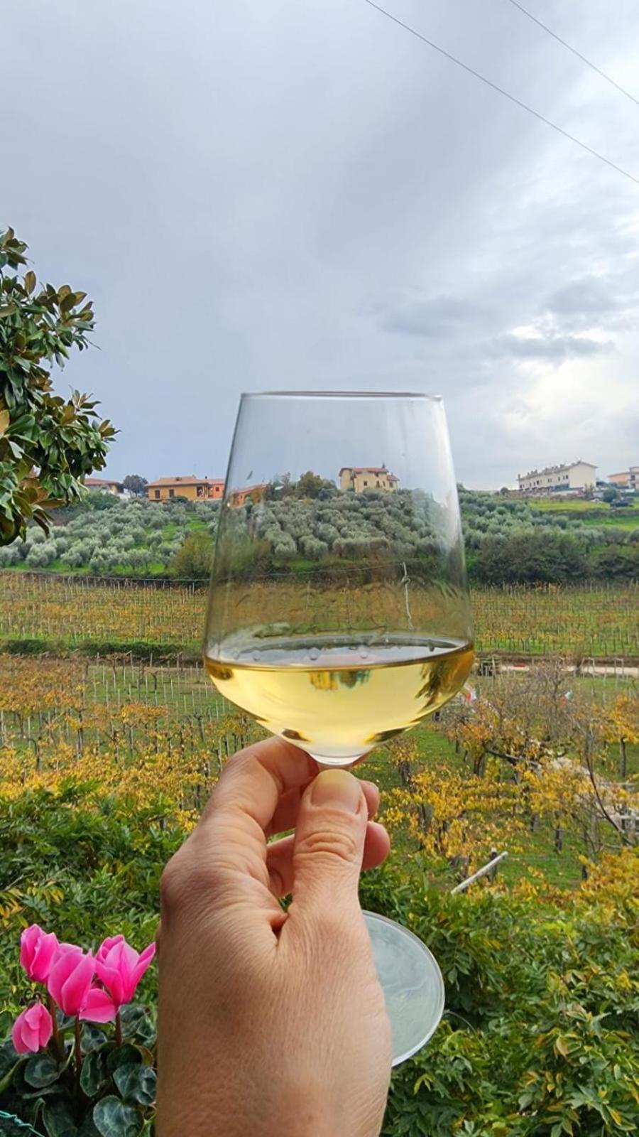 Poggio Agli Ulivi Villa Frascati Luaran gambar